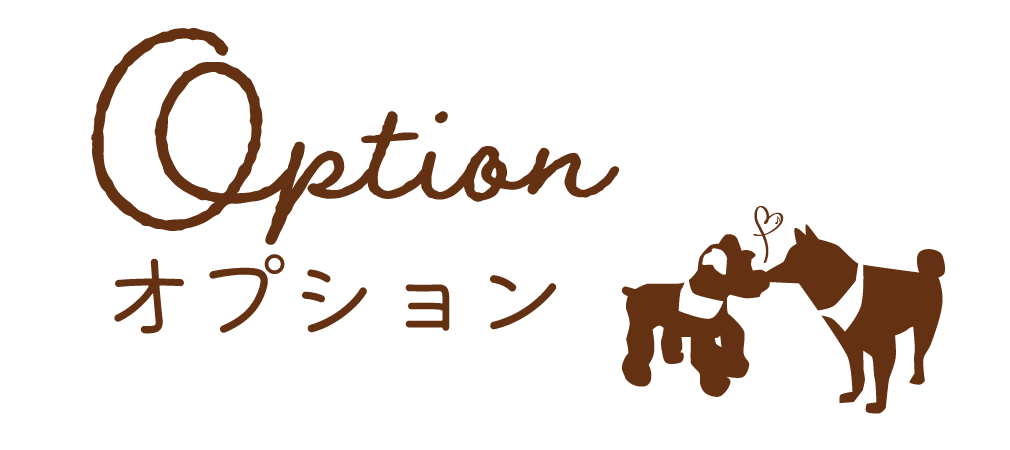 オプション